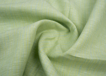 Parrot Green And Blue